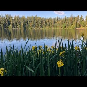 Meet your Posher, Destiny